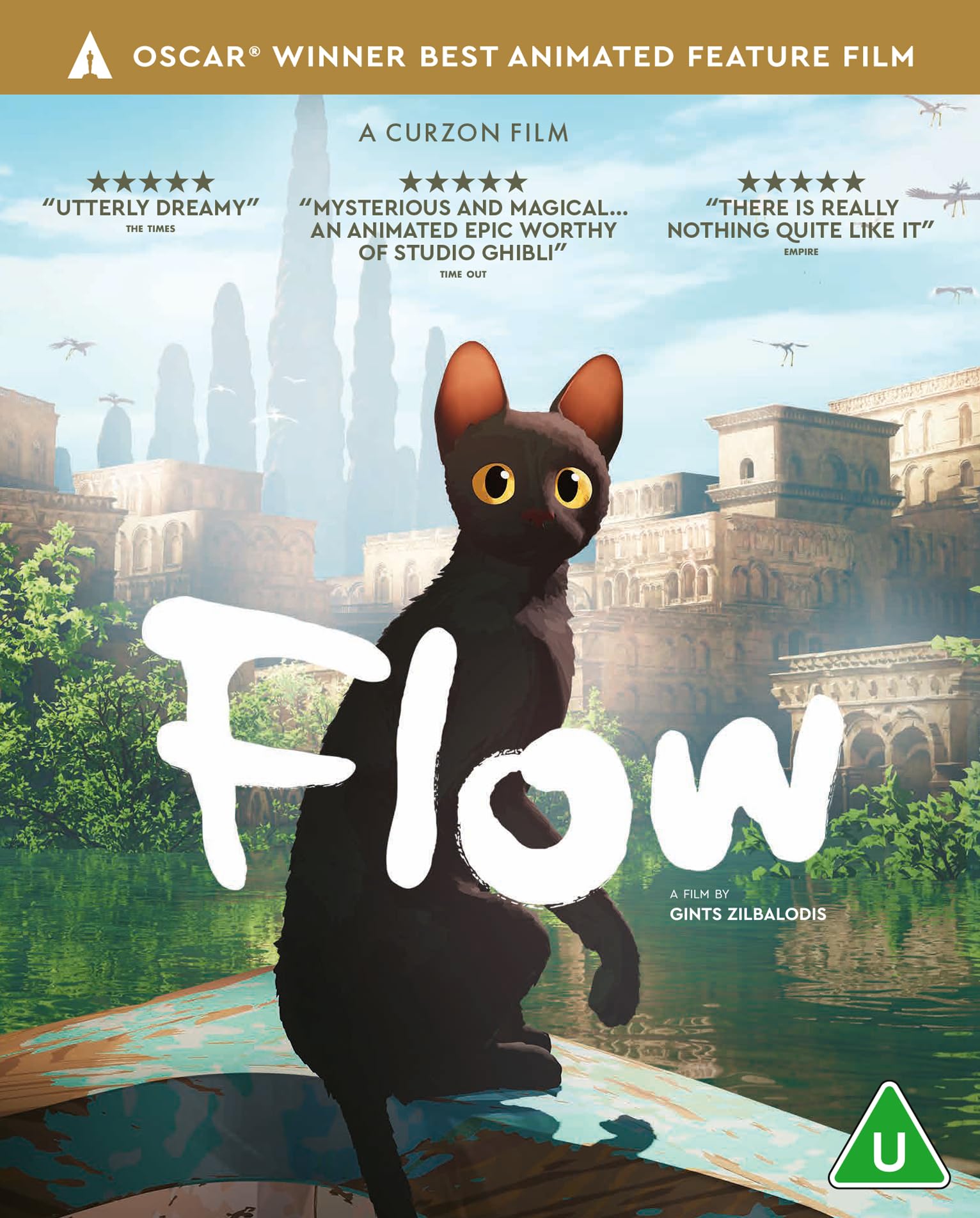 Flow [DVD] : Gints Zilbalodis: Amazon.ie